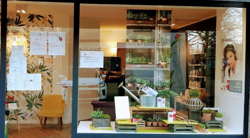 La vitrine de l'institut de La Chapelle-des-Fougeretz : plantes en pots, étagères de bois et papier peint botanique